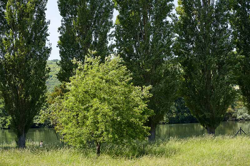 Gîte en bord de Seine à Pressagny L'orgueilleuse près de Vernon